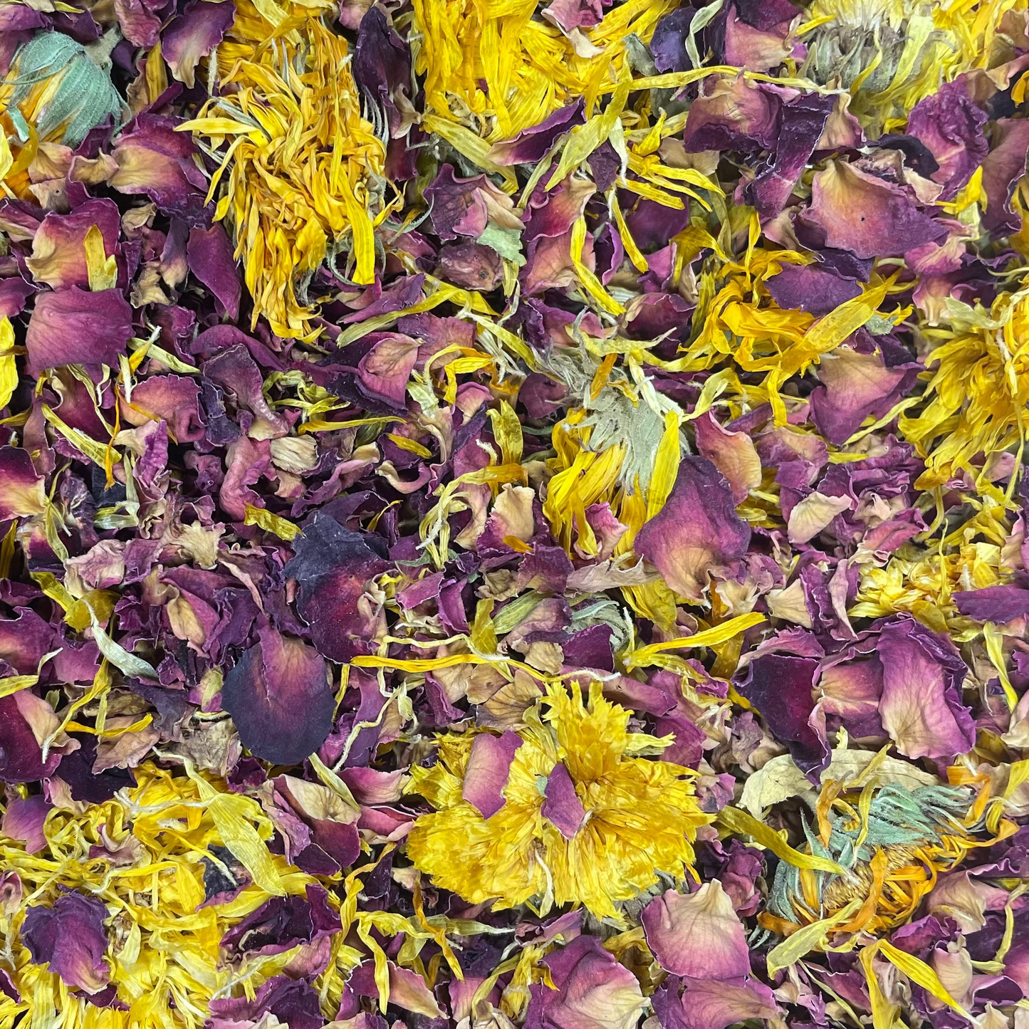 CALENDULA ROSE Revitalizing Serum