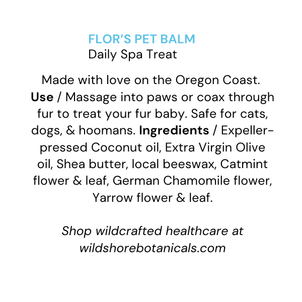 FLOR'S PET BALM Daily Spa Treat