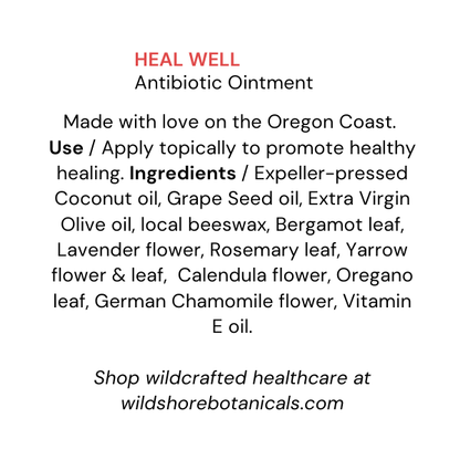 HEAL WELL Antibiotic Ointment