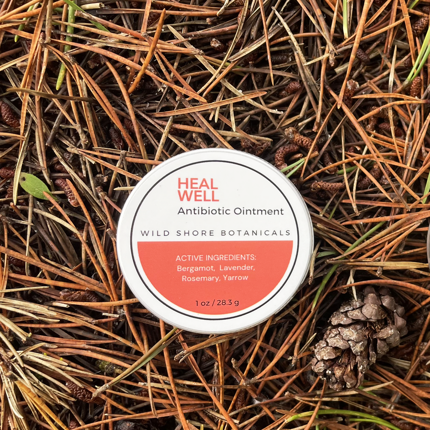 HEAL WELL Antibiotic Ointment