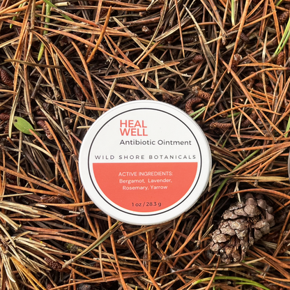 HEAL WELL Antibiotic Ointment