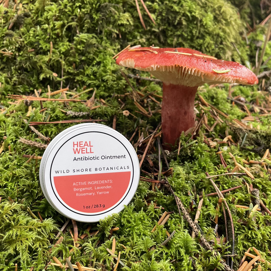 HEAL WELL Antibiotic Ointment