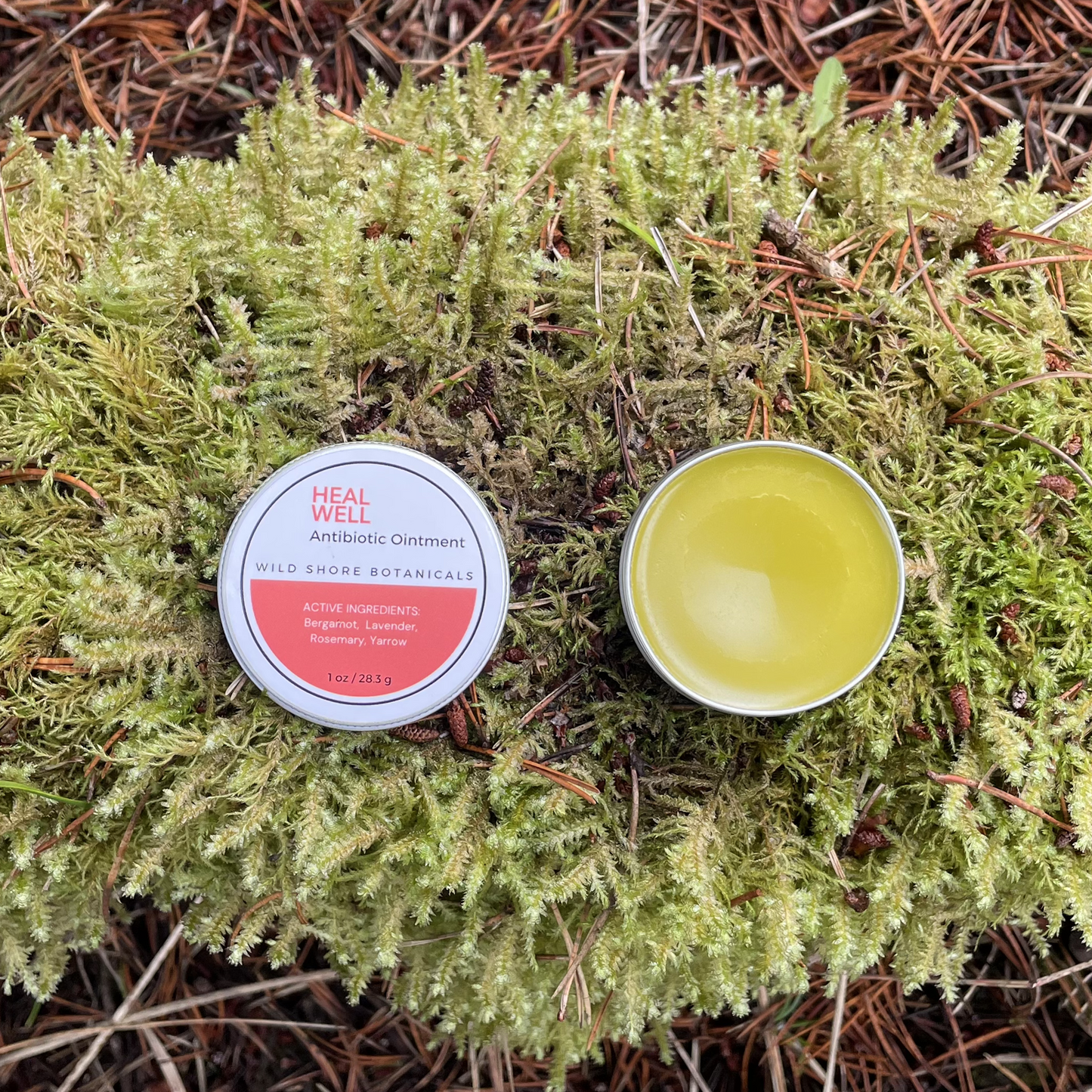 HEAL WELL Antibiotic Ointment